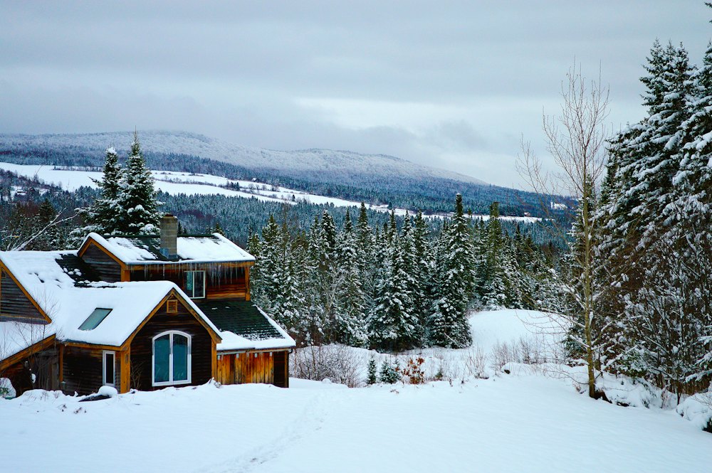Snow-covered mountain home among evergreen trees